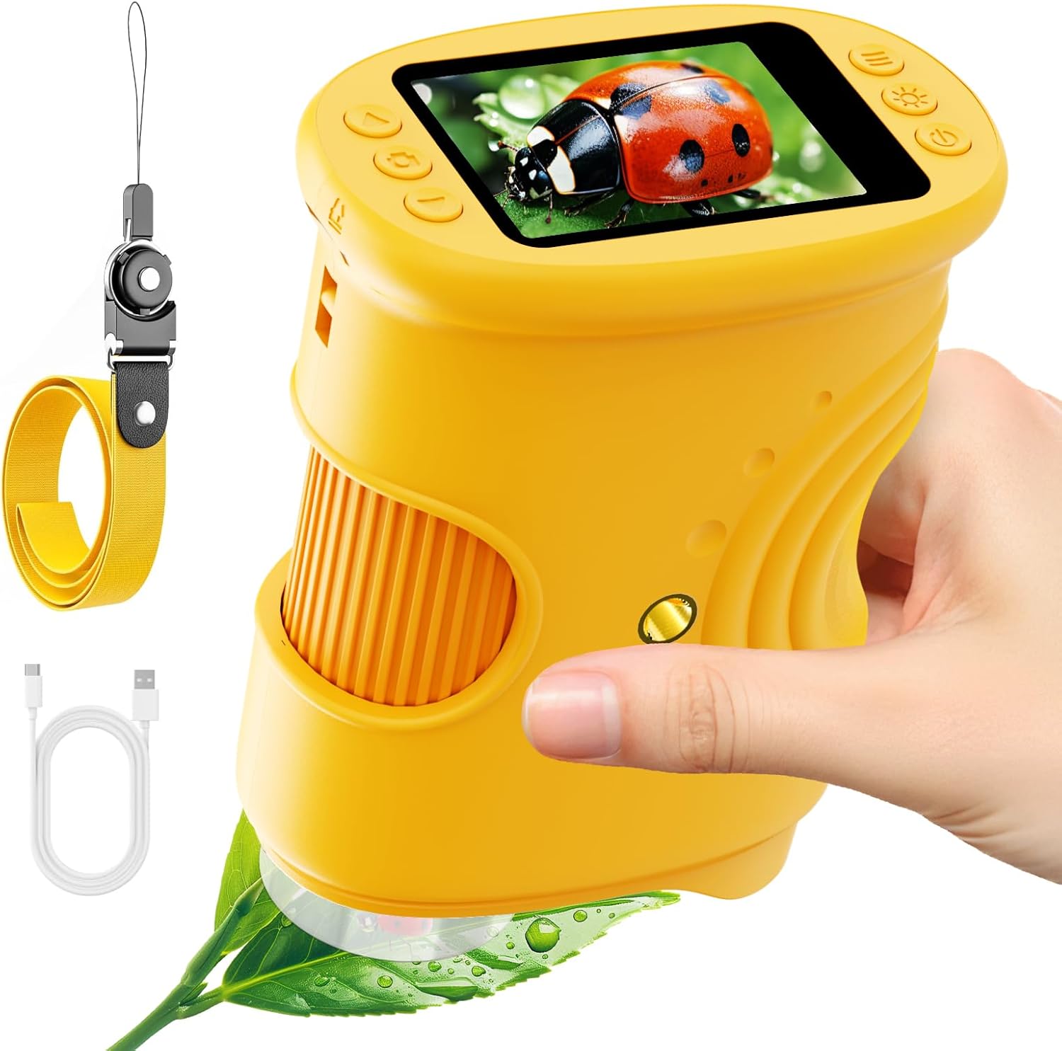 กล้องจุลทรรศน์ดิจิตอลสำหรับเด็ - Education Kids Definition บทวิจารณ์และราคา